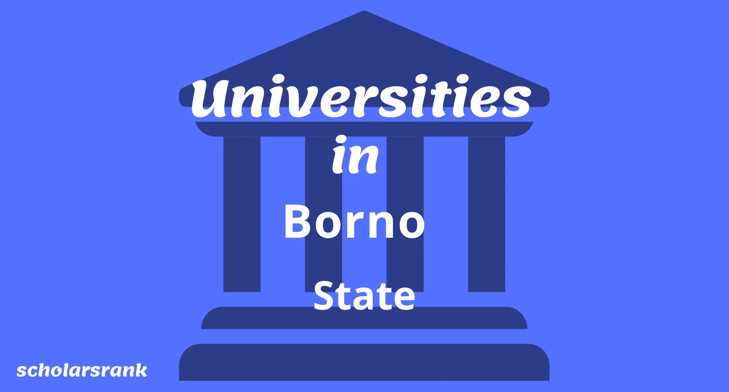 Universities in Borno State