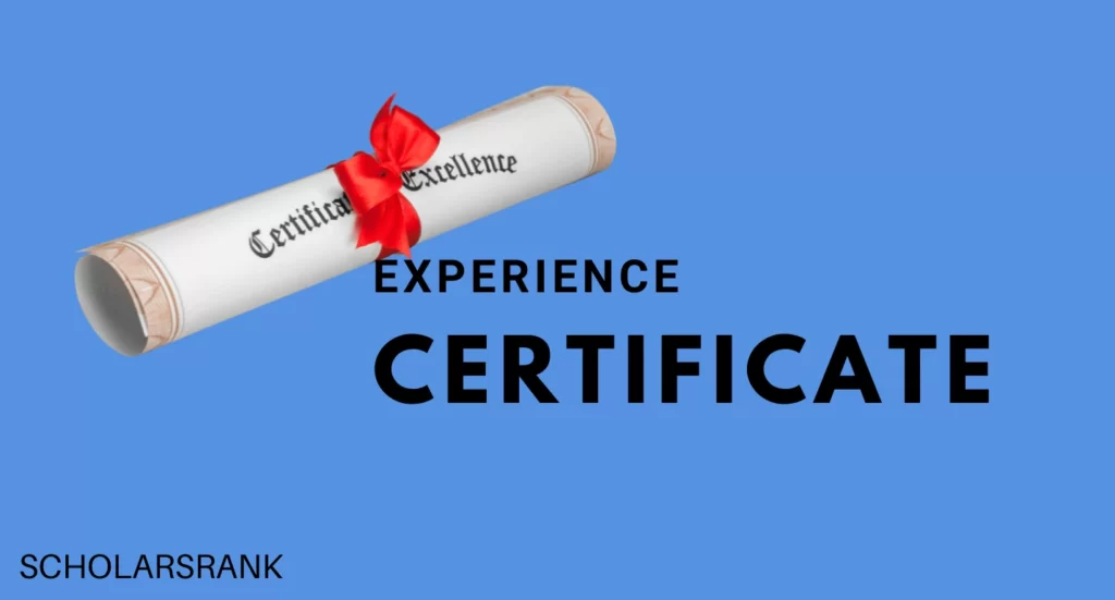 Experience Certificate Application Format