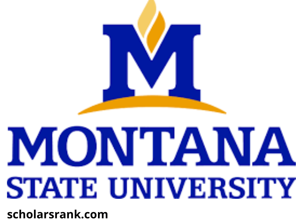 Montana State Scholarships 202425 Scholarsrank Blog for academics